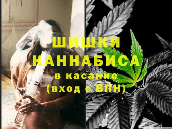 Альфа ПВП Бородино