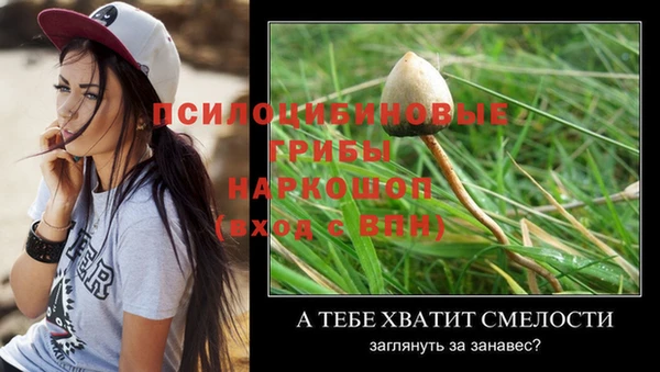 прущая мука Бронницы