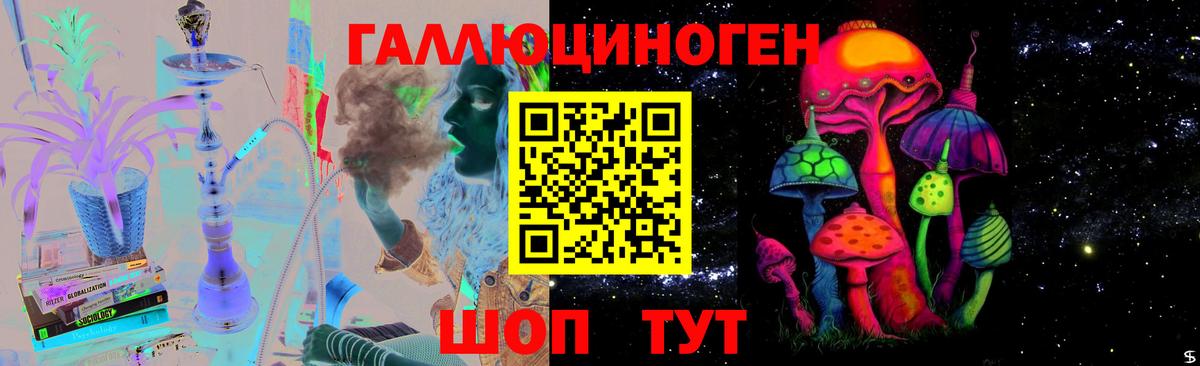 Псилоцибиновые грибы Cubensis  Галлюциногенные грибы мицелий  Гусев  хочу   Вход с VPN 